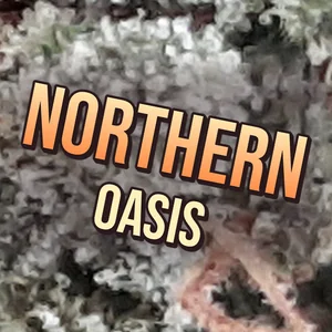 Northern Oasis Cannabis Strain