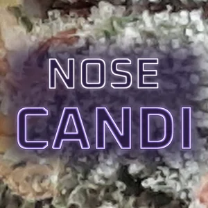 Nose Candi Cannabis Strain