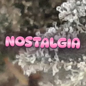Nostalgia Cannabis Strain