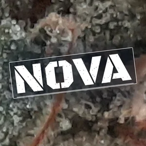 Nova Cannabis Strain