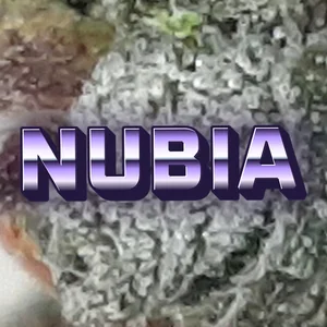 Nubia Cannabis Strain