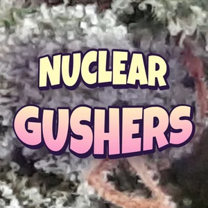 Nuclear Gushers Cannabis Strain
