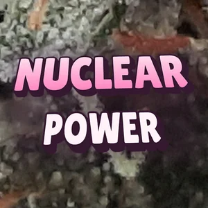 Nuclear Power Cannabis Strain