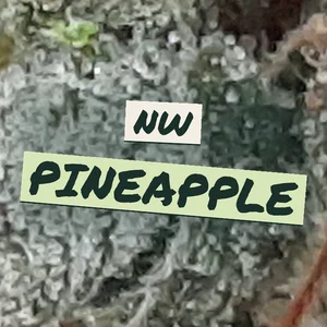 NW Pineapple Cannabis Strain