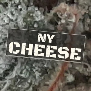NY Cheese Cannabis Strain