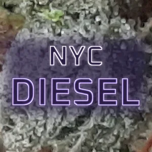 NYC Diesel Cannabis Strain