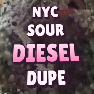 NYC Sour Diesel Dupe Cannabis Strain