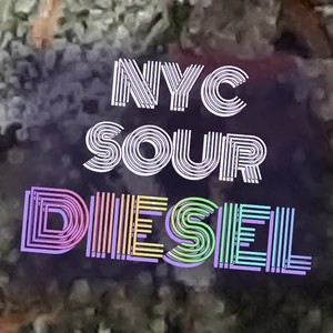 NYC Sour Diesel Cannabis Strain