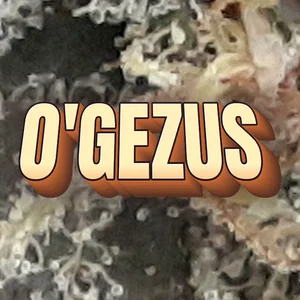 O'Gezus Cannabis Strain