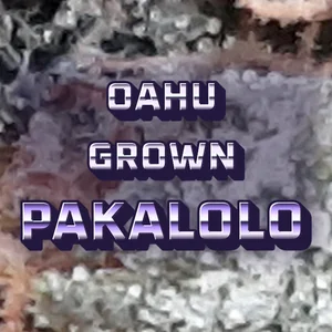 Oahu Grown Pakalolo Cannabis Strain