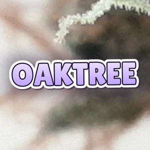 OakTree Cannabis Strain