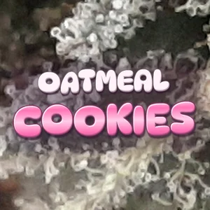 Oatmeal Cookies Cannabis Strain