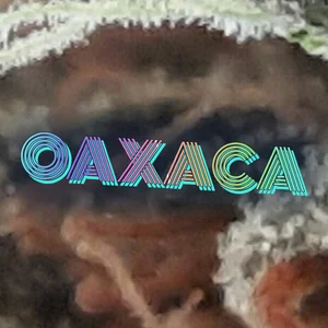 Oaxaca Cannabis Strain