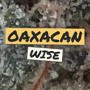 Oaxacan Wise Cannabis Strain