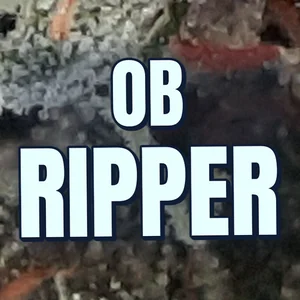 OB Ripper Cannabis Strain