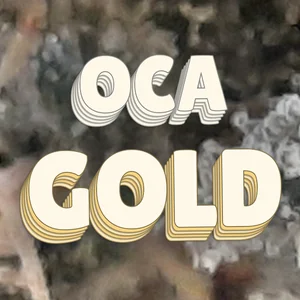 OCA Gold Cannabis Strain