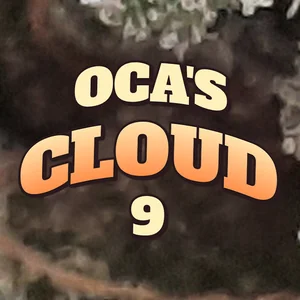 OCA's Cloud 9 Cannabis Strain