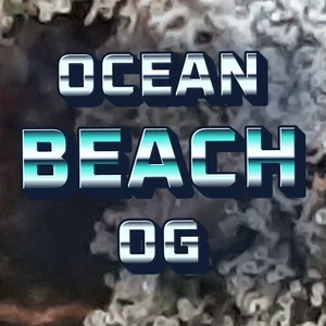 Ocean Beach OG Cannabis Strain