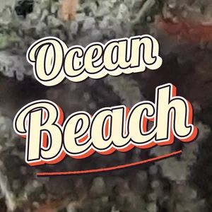 Ocean Beach Cannabis Strain