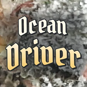 Ocean Driver Cannabis Strain