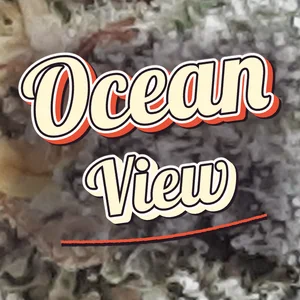 Ocean View Cannabis Strain