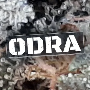 Odra Cannabis Strain