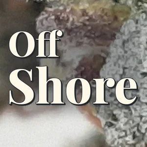 Off Shore Cannabis Strain
