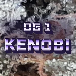 OG 1 Kenobi Cannabis Strain