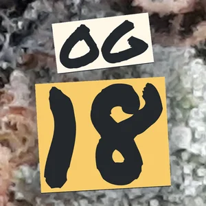 OG 18 Cannabis Strain