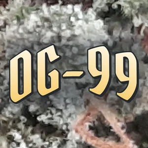 OG-99 Cannabis Strain