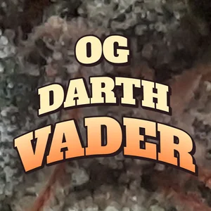 OG Darth Vader Cannabis Strain