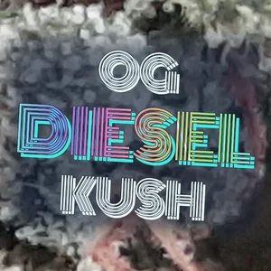 OG Diesel Kush Cannabis Strain
