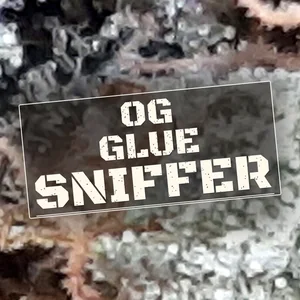 OG Glue Sniffer Cannabis Strain