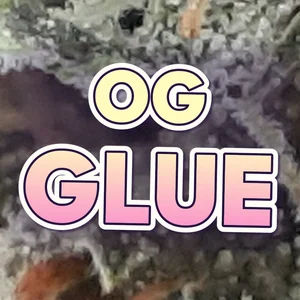 OG Glue Cannabis Strain