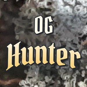 OG Hunter Cannabis Strain