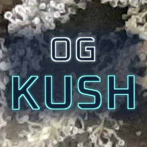OG Kush Cannabis Strain