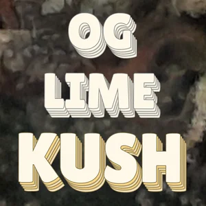 OG Lime Kush Cannabis Strain