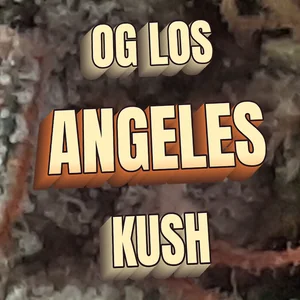 OG Los Angeles Kush Cannabis Strain