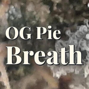 OG Pie Breath Cannabis Strain