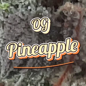 OG Pineapple Cannabis Strain
