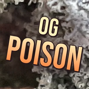OG Poison Cannabis Strain