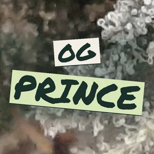OG Prince Cannabis Strain