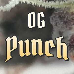 OG Punch Cannabis Strain