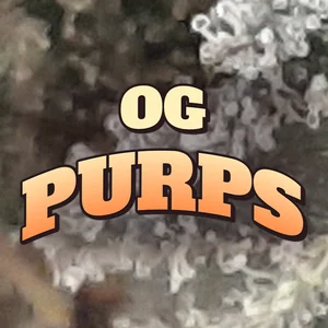 OG Purps Cannabis Strain