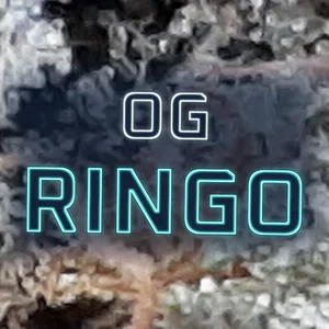 OG Ringo Cannabis Strain
