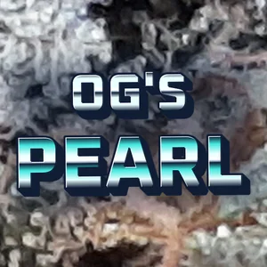 OG's Pearl Cannabis Strain