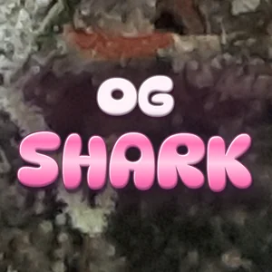 OG Shark Cannabis Strain