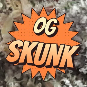 OG Skunk Cannabis Strain