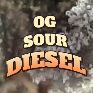 OG Sour Diesel Cannabis Strain