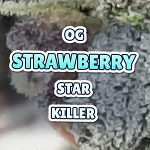 OG Strawberry Star Killer Cannabis Strain